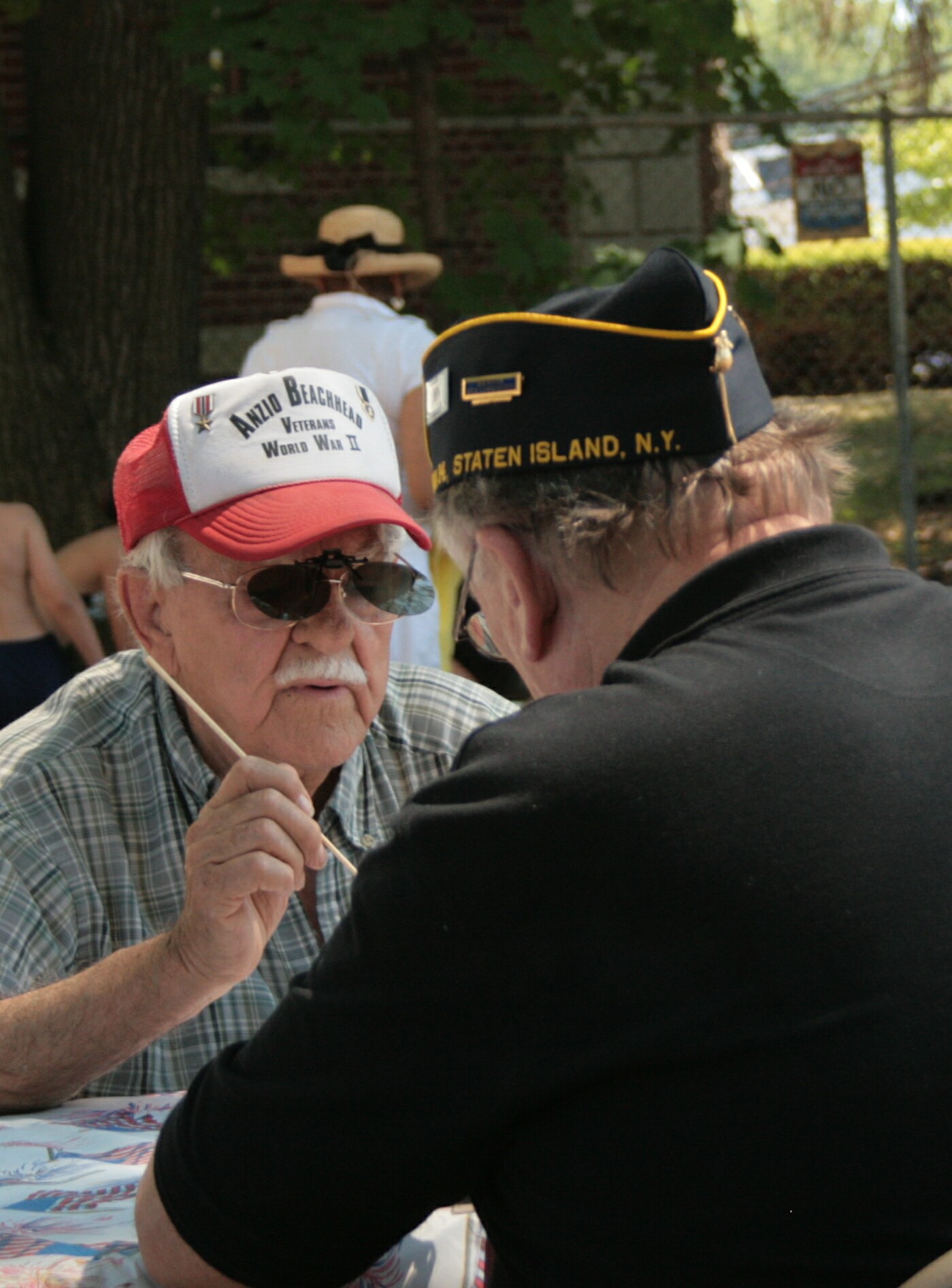 4th of July Picnic 3